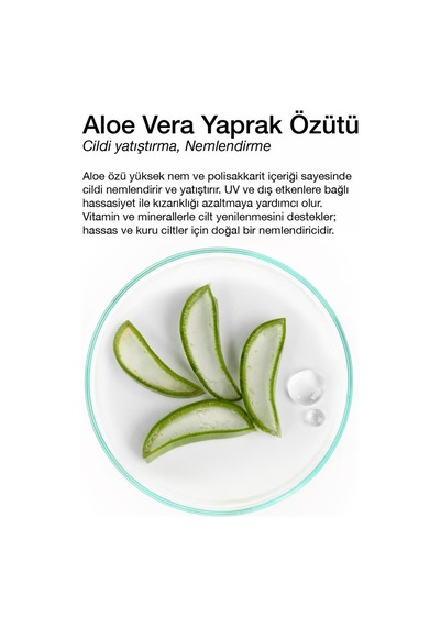 Dermal Kuru Ve Yorgun Ciltler İçin Nemlendirici Ve Canlandırıcı Aloe Kore Maskesi 23 Gr