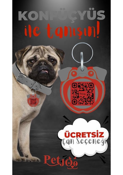 Petjoo 9.Konfüçyüs Kırmızı-Gri Qr'lı Köpek Künyesi