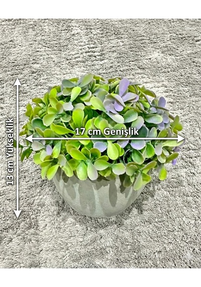 Premium Modern Gri Saksıda Gerçekçi Yapay Dekoratif Bitki 17 X 13 Cm Ev Ve Ofis Dekoru Çok Renkli