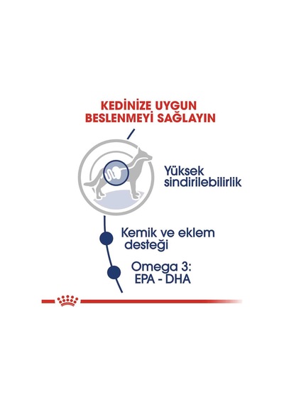 Royal Canin Maxi Adult Büyük Irk Yetişkin Köpekler İçin Parça Etli Konserve Mama 140 Gr