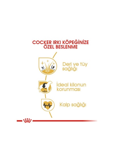 Royal Canin Cocker Spaniel Yetişkin Köpek Maması 3 KG