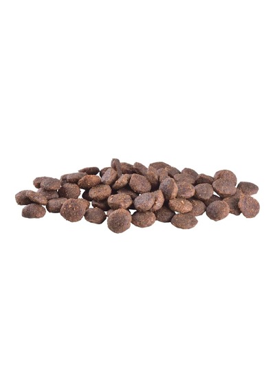 Care Yorkshire Salmon & Tuna, Minik Irk - Yorkshıre Terrıer Köpekler İçin, Tahılsız, Hipoalerjenik, Somon Balıklı Ve Tuna Balıklı Kuru Mama, 2 Kg