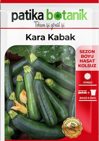 25 Adet Yerli Ata Siyah Kabak Tohumu Kolsuz Kara Kabak