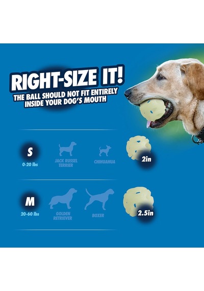 Chuckit Air Glow Getirme Topu Köpek Oyuncağı, Orta 2,5 İnç , 1 Adet, Irklar İçin 20-60 Lb