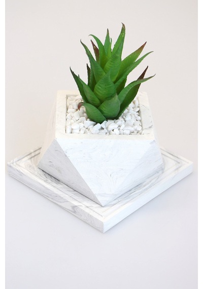 Yapay Çiçek Deposu Altlıklı Beton Saksıda Kaliteli Yapay Succulent Kaktüs Set Yeşil