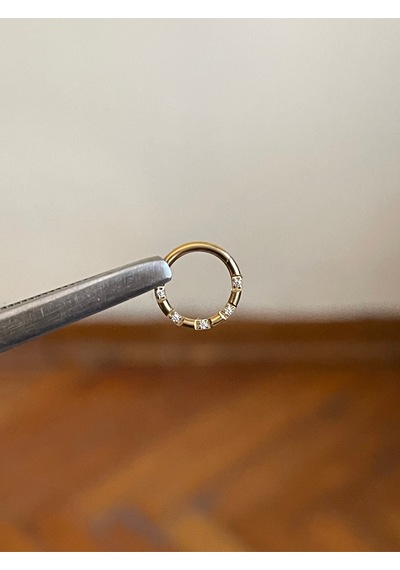 316 L Cerrahi Çelik Atom Taşlı Kıkırdak Piercingi Rook Orbital Helix Septum Piercing Kırmızı