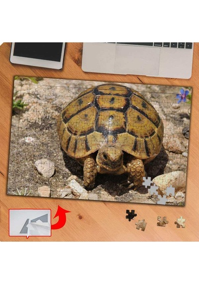 Sevimli Hayvan Kaplumbağa 240 Parça Puzzle Yapboz-ks70366