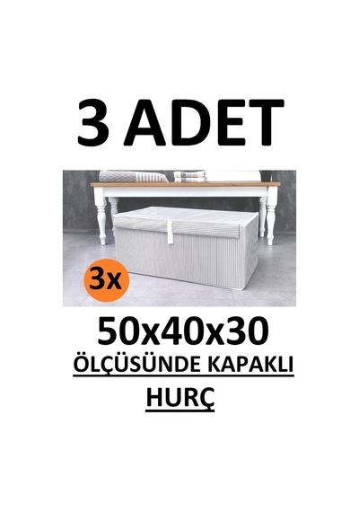Daglus Alas 3 Adet Kapaklı Kutu Hurç Maxi Boy 50 40 30 Çok Amaçlı Kutu Hurç
