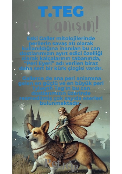 Petjoo 15.T.Teg Gri-Mavi Qr'lı Köpek Künyesi