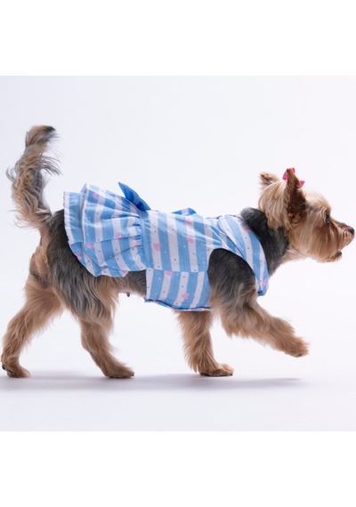Ocean Love Kalp Desenli Kedi Köpek Elbisesi - Kedi Köpek Kıyafeti