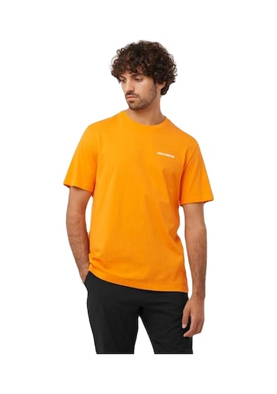 Salomon Lc2219700 Graphic Perf Ss Tee M Erkek Tişört 001 Salomon Lc2219700 Graphic Perf Ss Tee M Erkek Tişört 001