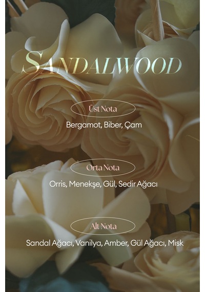 Missha A'pıeu Juicy Pang Perfume Hand Cream Sandalwood
