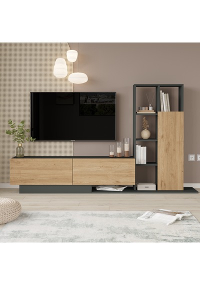 Robin Home Lotus Tv Ünitesi Kapaklı Kitaplık Raf Sepet-antrasit