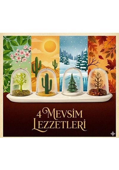 4 Mevsim Temalı Tasarım Baharatlık Seti - Dekoratif Ağaç Tuzluk Biberlik Şeffaf