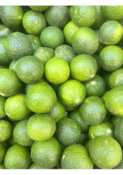 Lokmacı Ana Yeşil Bodrum Mandalinası Satsuma 1 KG