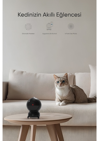 Şımart Akıllı Kedi Oyuncağı