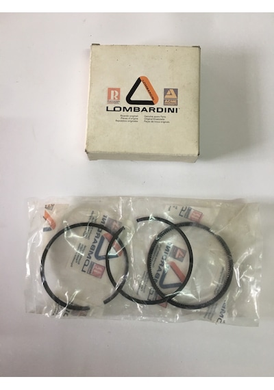 LOMBARDİNİ / İTALYAN SEGMAN (SEKMAN) +0.50MM TAKIMI KOMPLE