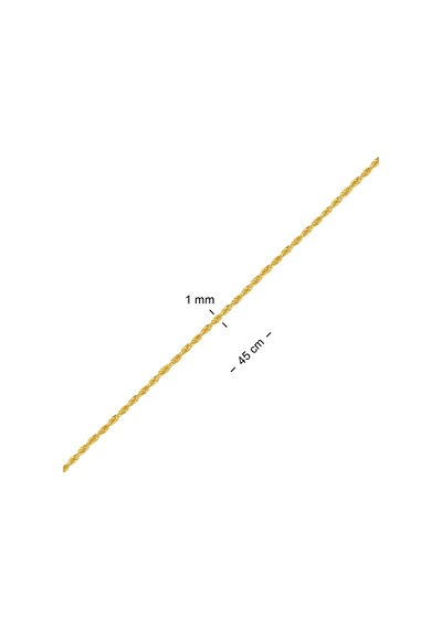 Altın Ince Burgu Zincir 45 Cm As25Zcr Altınsepeti