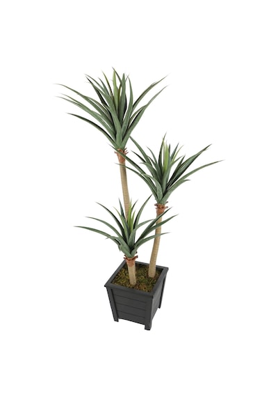 Yapay Çiçek Deposu Yapay 3 Gövdeli Yucca Ağacı Artificial Foilage 150 Cm