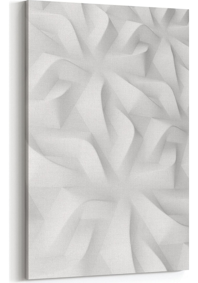 Olla 60x90 Cm 10455d Beyaz Kabartma Görseli Dikey Kanvas Tablo