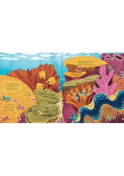 The Usborne Look Inside Seas And Oceans 5+ Yaş