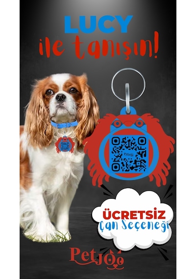 Petjoo 11.Lucy Kırmızı-Mavi Qr'lı Köpek Künyesi
