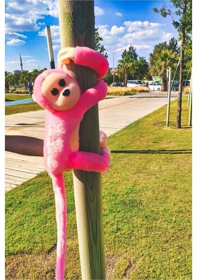 Sevimli Sarılan Sesli Maymun Pembe PEMBE