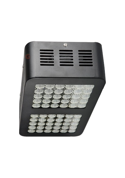 Ecosun 300W Led Lamba