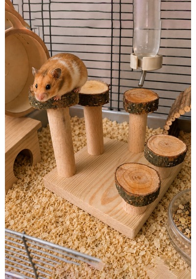Doğal Kemirgen Merdiveni Ve Tırmanma Standı - Hamster Oyun Kulesi