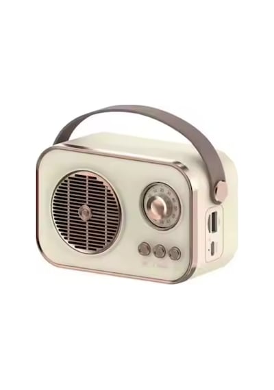 Pl-4641 Bluetooth, Sd, Usb Girişli Bluetooth Destekli Type-c Speaker