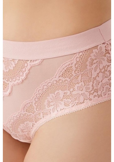 Cottonhill Dantelli Arkası Transparan Büyük Beden Bikini Külot 3'lü Paket Çok Renkli 2