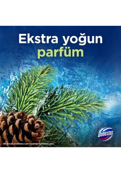 Çam Ormanı Aromalı 5'li Tuvalet Bloğu Ürünü