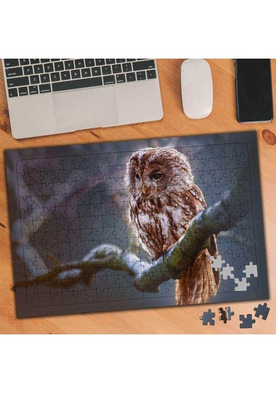 Daldaki Baykuş 240 Parça Puzzle Yapboz-1834152