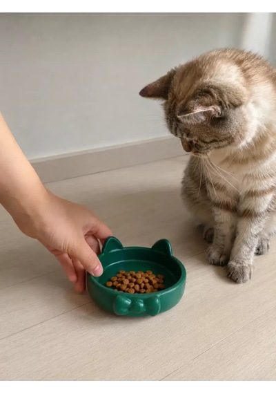 Hubrendy Sh Papyon Model Beton Kedi Köpek Mama Ve Su Kabı 16 Cm Çap - Yeşil