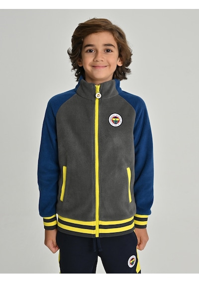 Fenerium Çocuk Trıbun Reglan Kol Detaylı Sweat Grı