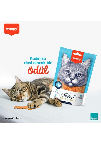 Wanpy Oven Roasted Tavuklu Yumuşak Taneli, 80 G, Kedi Ödülü