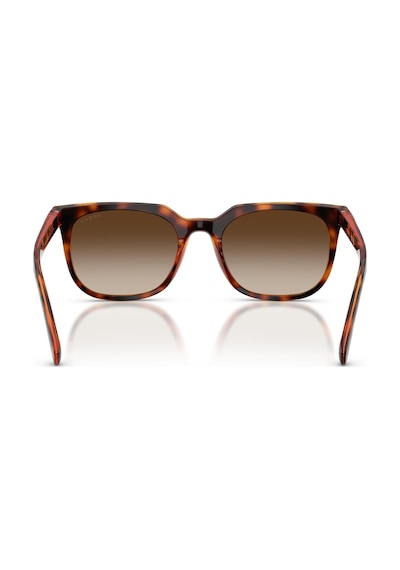 Vogue V05715sı W65613 54 Erkek Güneş Gözlüğü Kahverengi