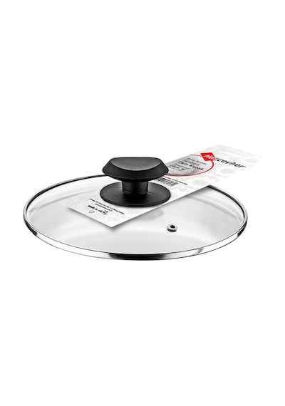 2 Adet Hascevher Cam Kapak 28 Cm Çok Renkli