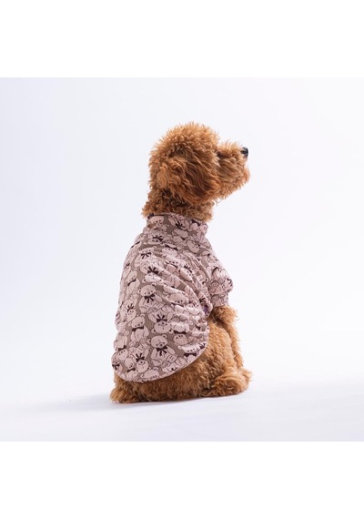 Summer Dreams Yaz Rüyası 3lü Sweat Set Kedi Köpek Sweati-kedi Köpek Kıyafeti