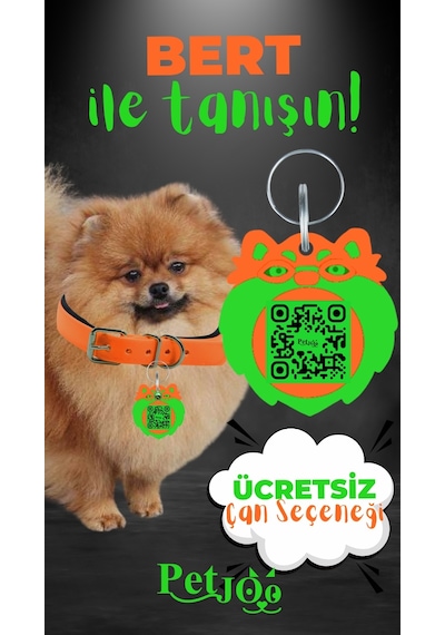 Petjoo 13.Bert Yeşil-Turuncu Qr'lı Köpek Künyesi