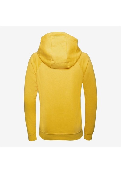Nike W Nk Flc Park20 Po Hoodie Kadın Sweatshirt Sari