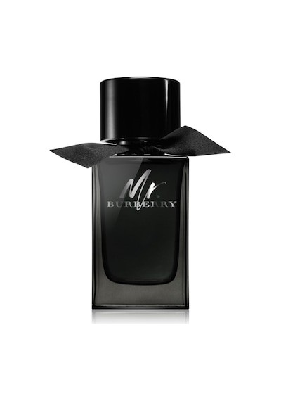 Burberry Mr. Burberry Erkek Parfüm EDP 100 ML