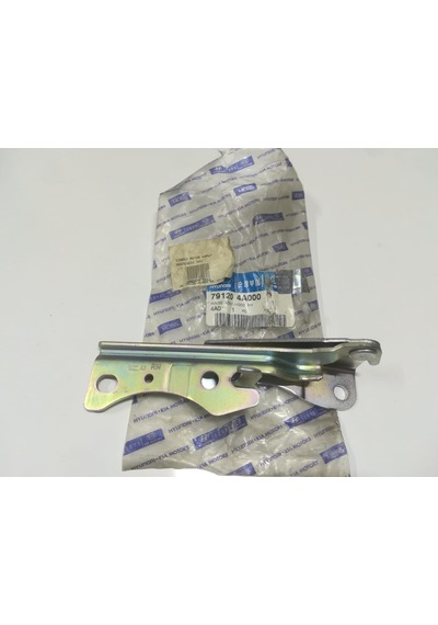 Starex Motor Kaput Menteşesi 02-08 Sağ 79120 4a000