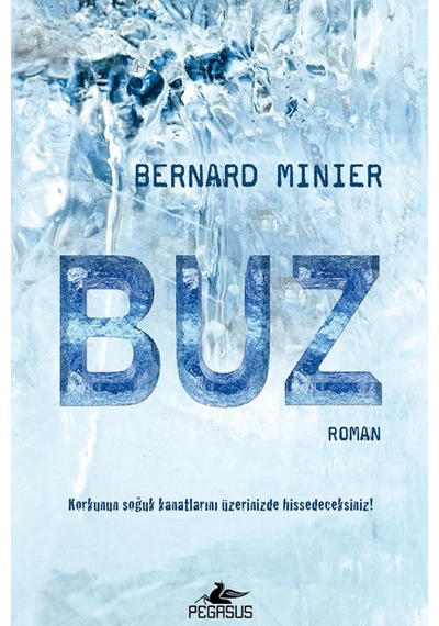 Buz