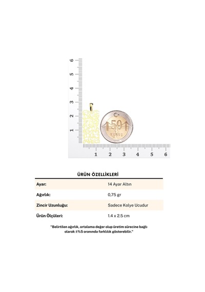 Ayetel Kürsi Hat Sanatı 14 Ayar Altın Kolye Ucu