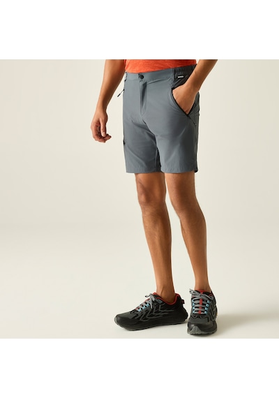Regatta X-ert Stretch Erkek Şort-füme