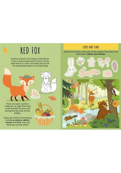 Sassi The Forest - Sticker And Activities
