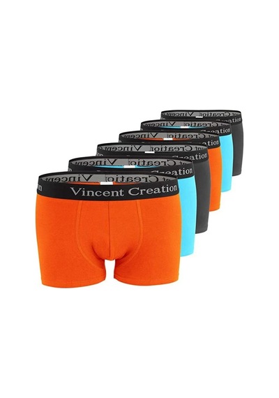 Alexander Gardi Alexandergardı 6'Lı Ekonomik Paket Erkek Boxer Seti Vincentcreation-02 001