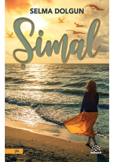 Şimal N11.10801