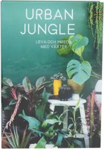 Dekoratif Kitap Kutusu Urban Jungle